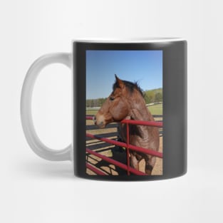 bay horse with red fence Mug